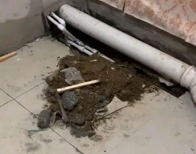 怀化市卫生间漏水检测哪家好
